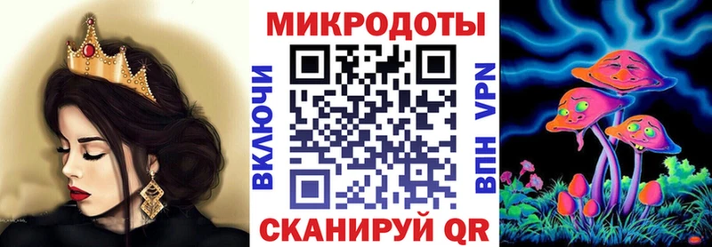 Псилоцибиновые грибы Psilocybe  Сычёвка 