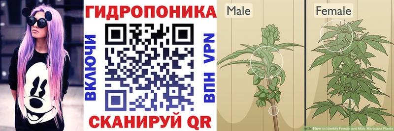 нарко площадка какой сайт  Сычёвка  МАРИХУАНА THC 21%  наркошоп 